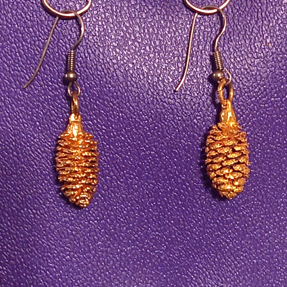 Earrings Euc